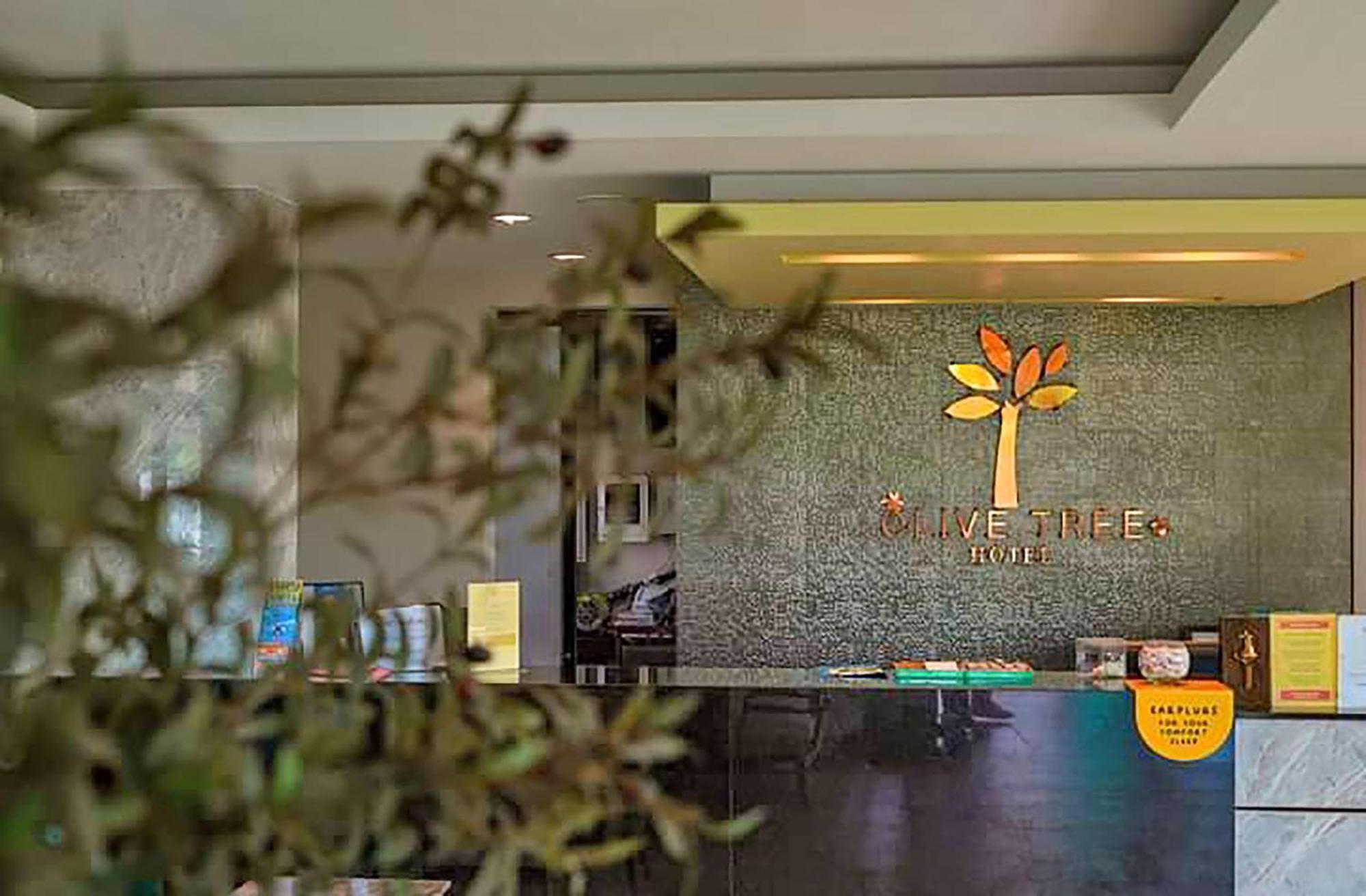 Olive Tree Hotel Pattaya Na Chom Thian Exterior foto